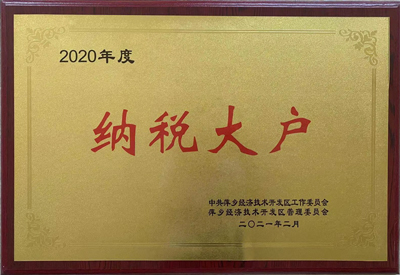 2020年纳税大户